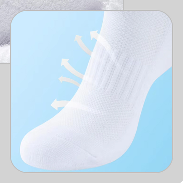 Quarter Rainbow Cotton Sports Socks