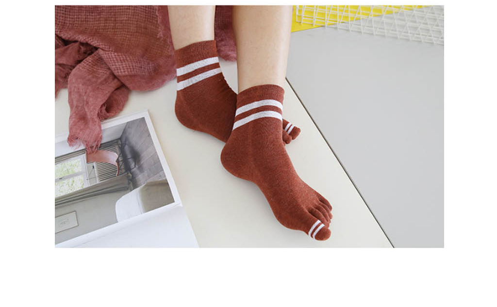 Pattern Women's Socks Daily Toe Point