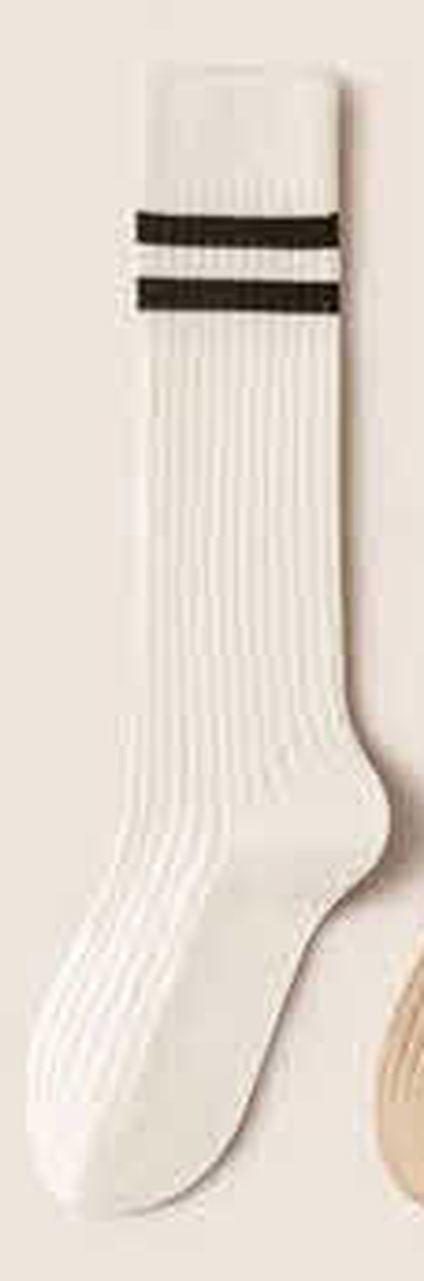 Student Fashion Ribbed Socks