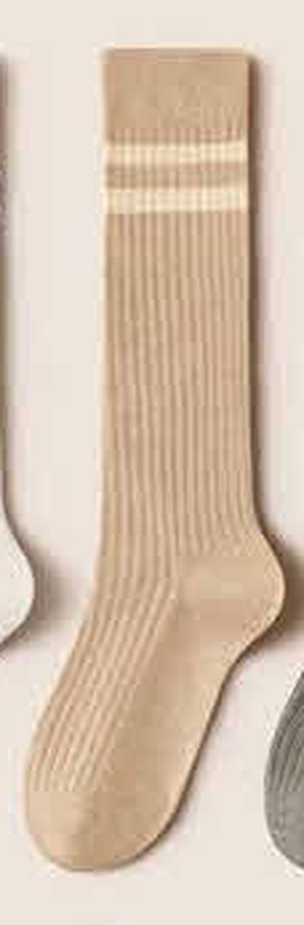 Student Fashion Ribbed Socks