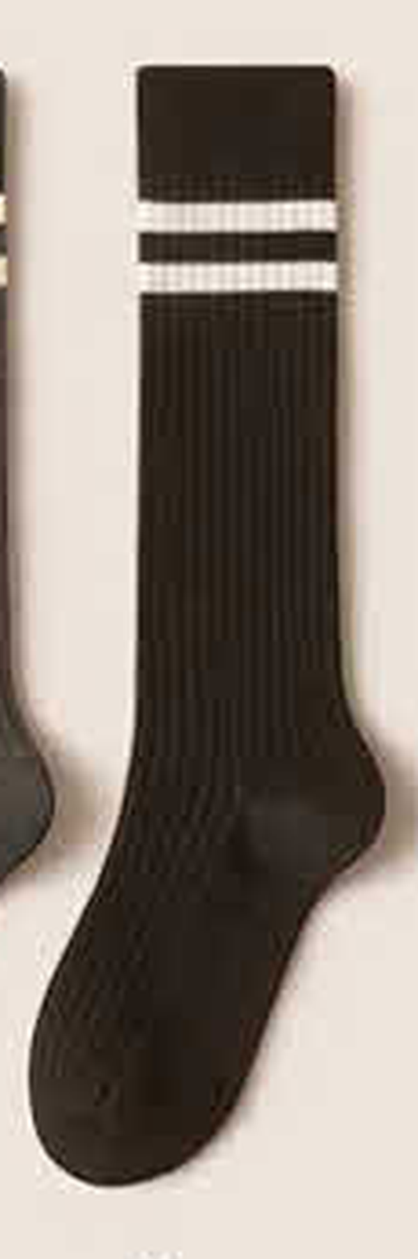 Student Fashion Ribbed Socks